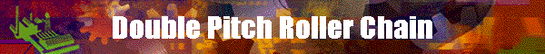 Double Pitch Roller Chain